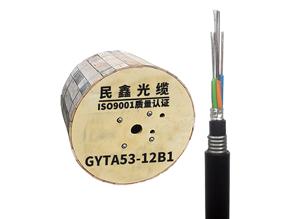 GYTA53-12芯